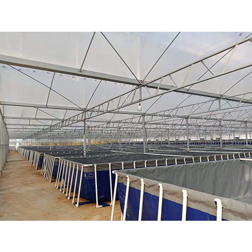 大型室内工厂化养殖基地 渔业转型,推进水产绿色高质量养殖